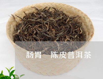 肠胃 陈皮普洱茶/2023041059580